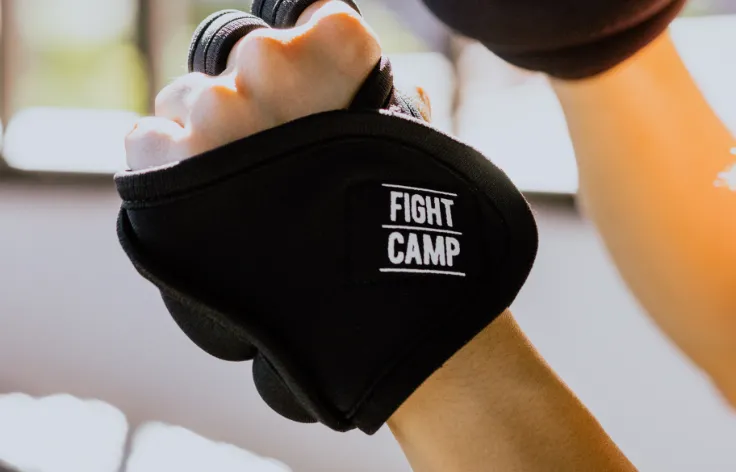 Conditioning kit hand weights