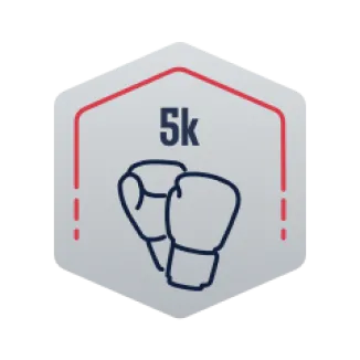 FightCamp best 5k punches badge